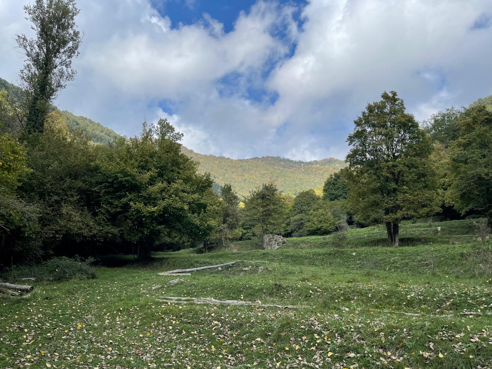 La pagesia com a funció estructural del territori: terra, comunals i defensa del Ripollès